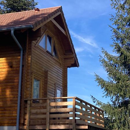Chalet Authentique Au Calme, En Lisiere De Foret, Montagne, Sentiers 15Mn Gerardmer & Alsace "Chalet Mon Beau Sapin" Anould Luaran gambar