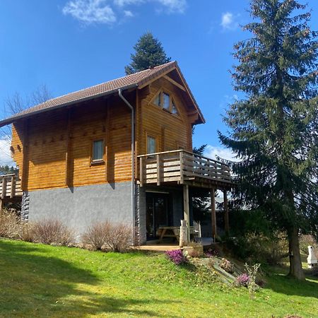 Chalet Authentique Au Calme, En Lisiere De Foret, Montagne, Sentiers 15Mn Gerardmer & Alsace "Chalet Mon Beau Sapin" Anould Luaran gambar