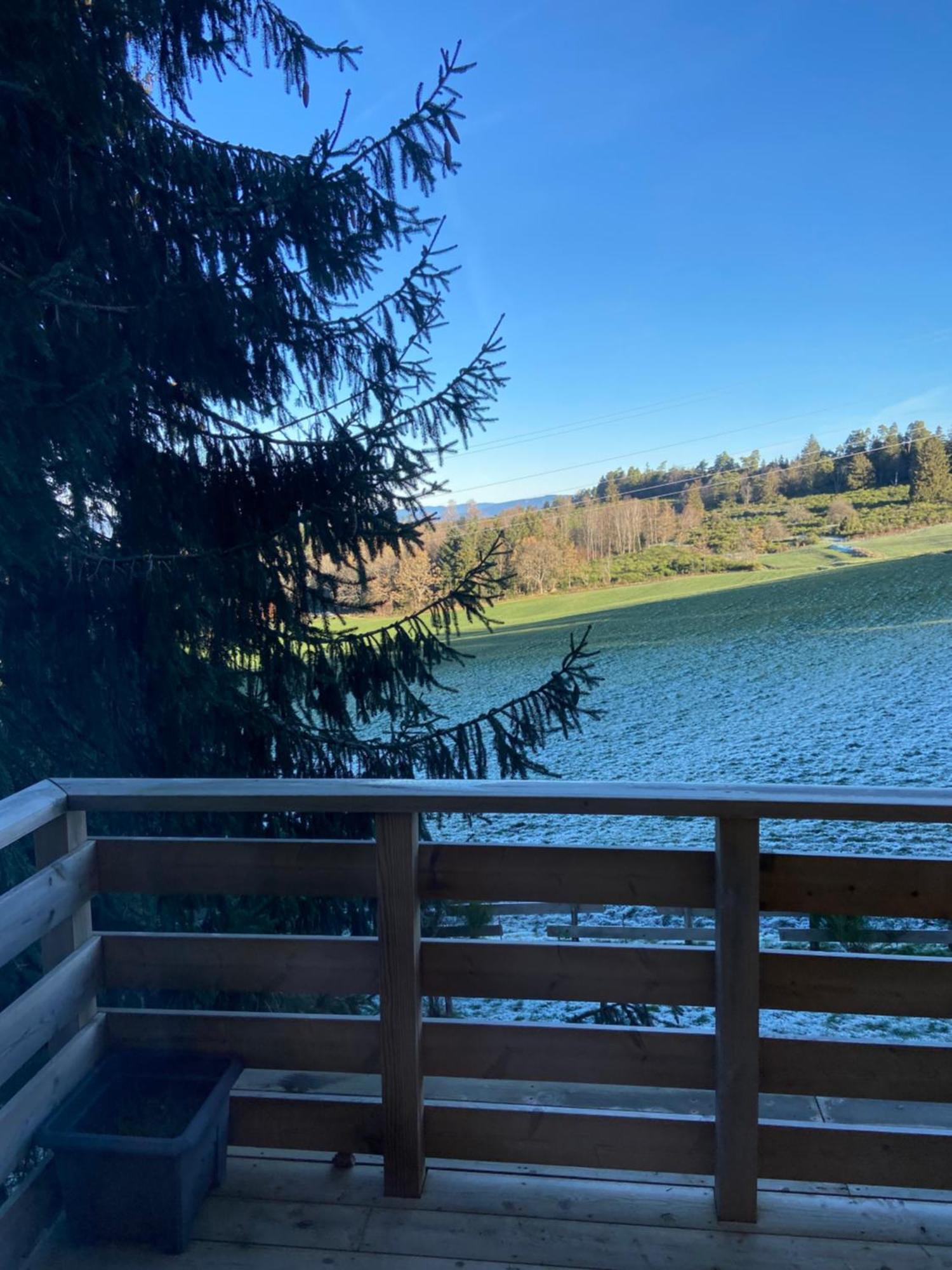 Chalet Authentique Au Calme, En Lisiere De Foret, Montagne, Sentiers 15Mn Gerardmer & Alsace "Chalet Mon Beau Sapin" Anould Luaran gambar