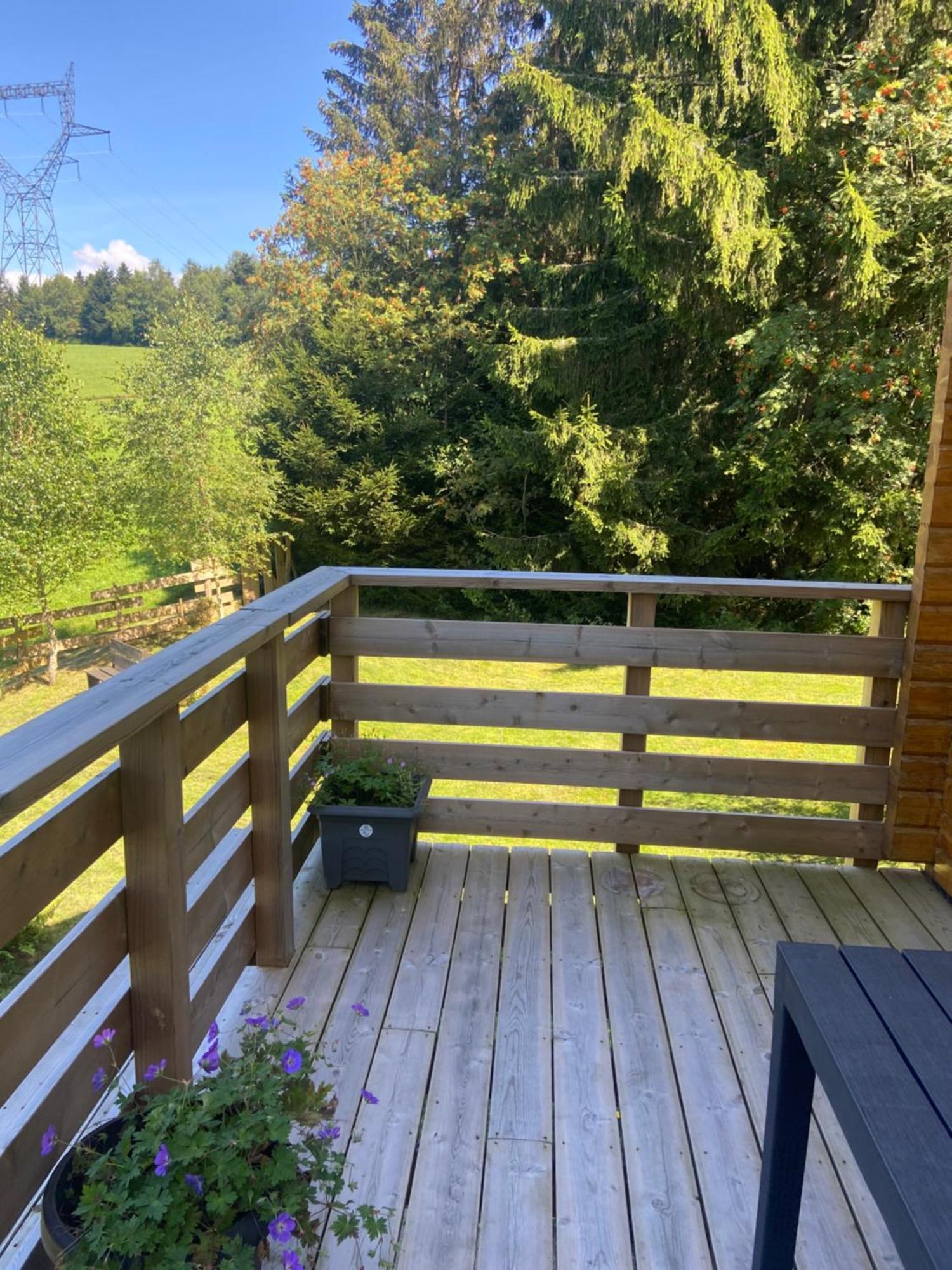 Chalet Authentique Au Calme, En Lisiere De Foret, Montagne, Sentiers 15Mn Gerardmer & Alsace "Chalet Mon Beau Sapin" Anould Luaran gambar