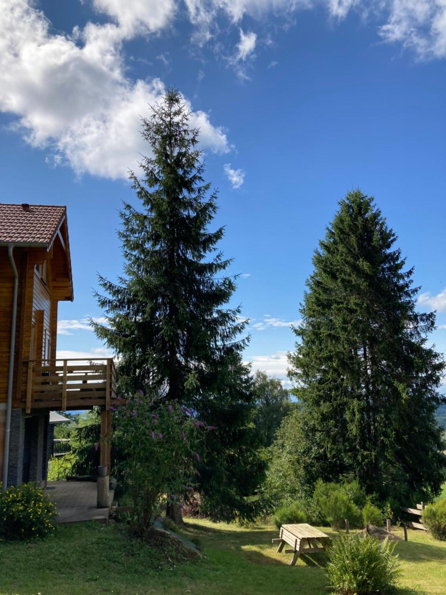 Chalet Authentique Au Calme, En Lisiere De Foret, Montagne, Sentiers 15Mn Gerardmer & Alsace "Chalet Mon Beau Sapin" Anould Luaran gambar