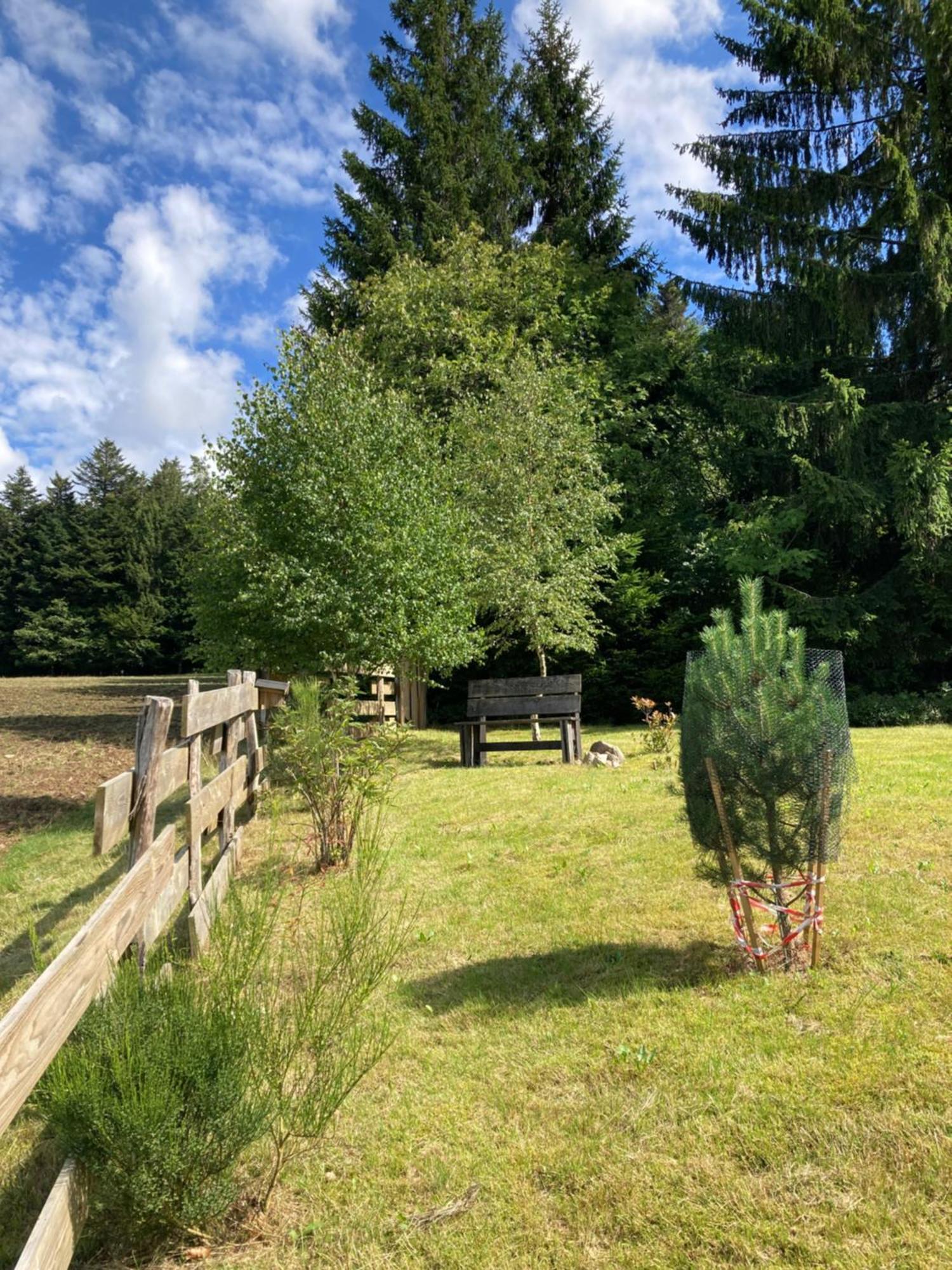 Chalet Authentique Au Calme, En Lisiere De Foret, Montagne, Sentiers 15Mn Gerardmer & Alsace "Chalet Mon Beau Sapin" Anould Luaran gambar
