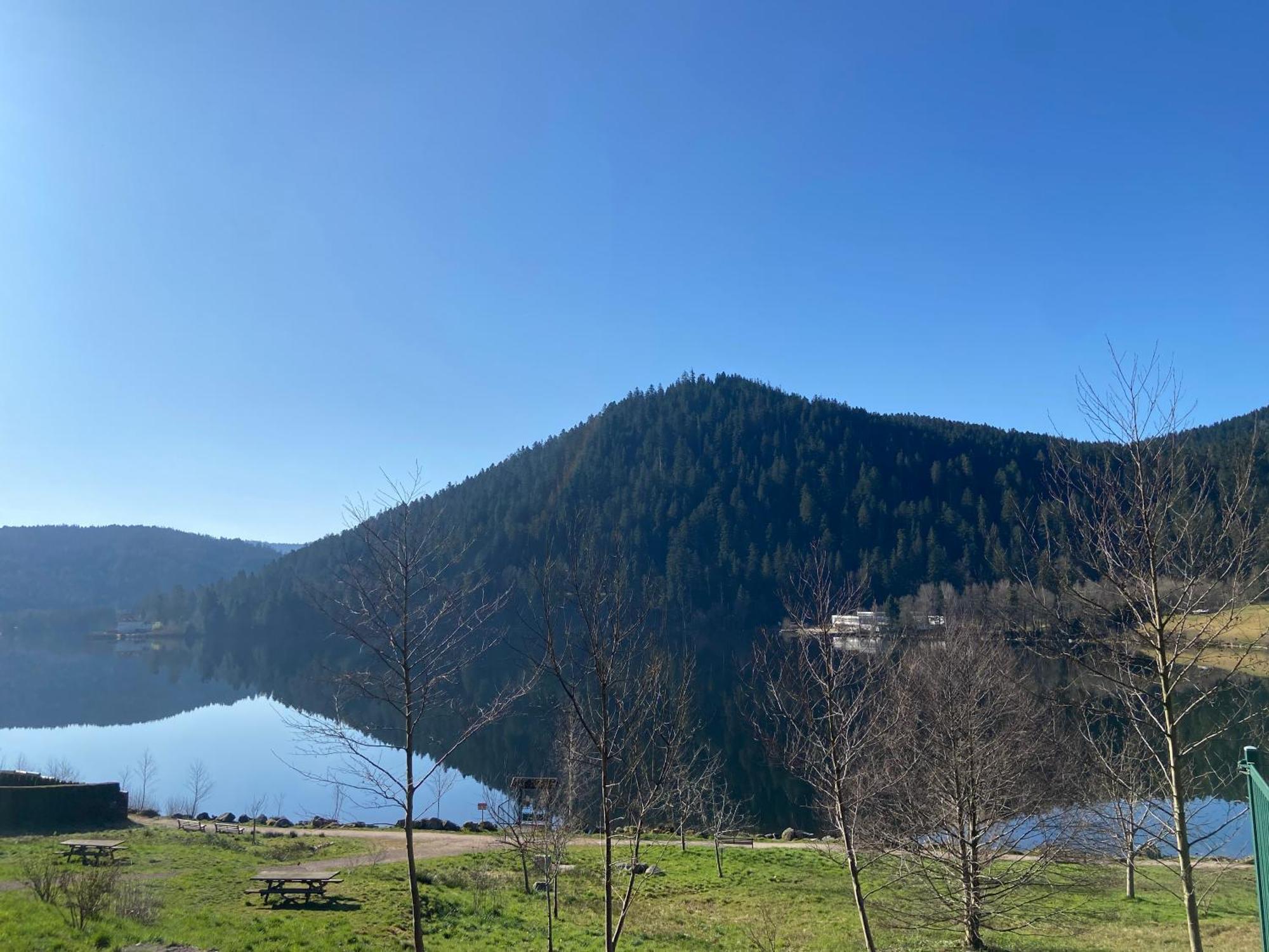 Chalet Authentique Au Calme, En Lisiere De Foret, Montagne, Sentiers 15Mn Gerardmer & Alsace "Chalet Mon Beau Sapin" Anould Luaran gambar