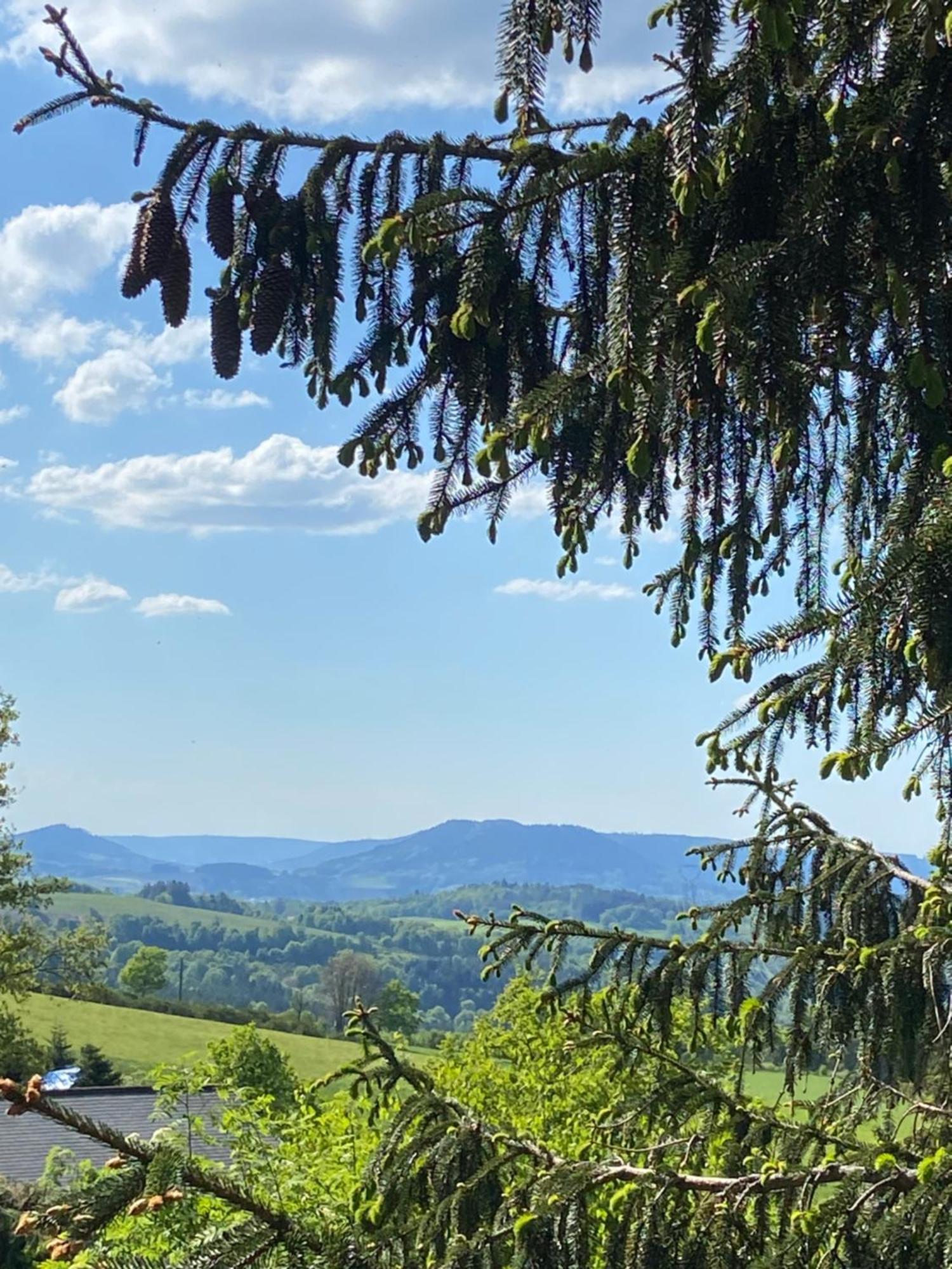 Chalet Authentique Au Calme, En Lisiere De Foret, Montagne, Sentiers 15Mn Gerardmer & Alsace "Chalet Mon Beau Sapin" Anould Luaran gambar
