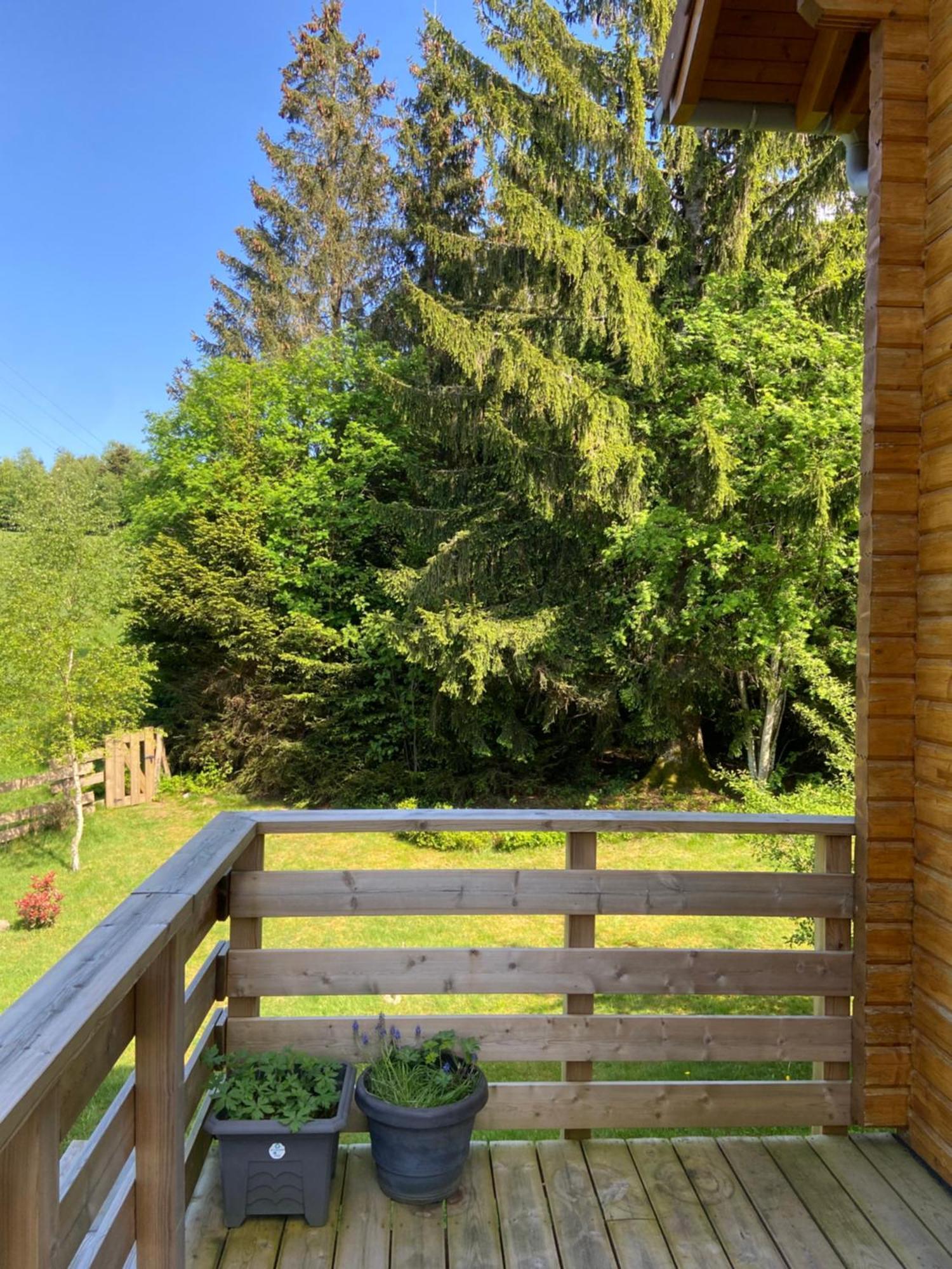 Chalet Authentique Au Calme, En Lisiere De Foret, Montagne, Sentiers 15Mn Gerardmer & Alsace "Chalet Mon Beau Sapin" Anould Luaran gambar